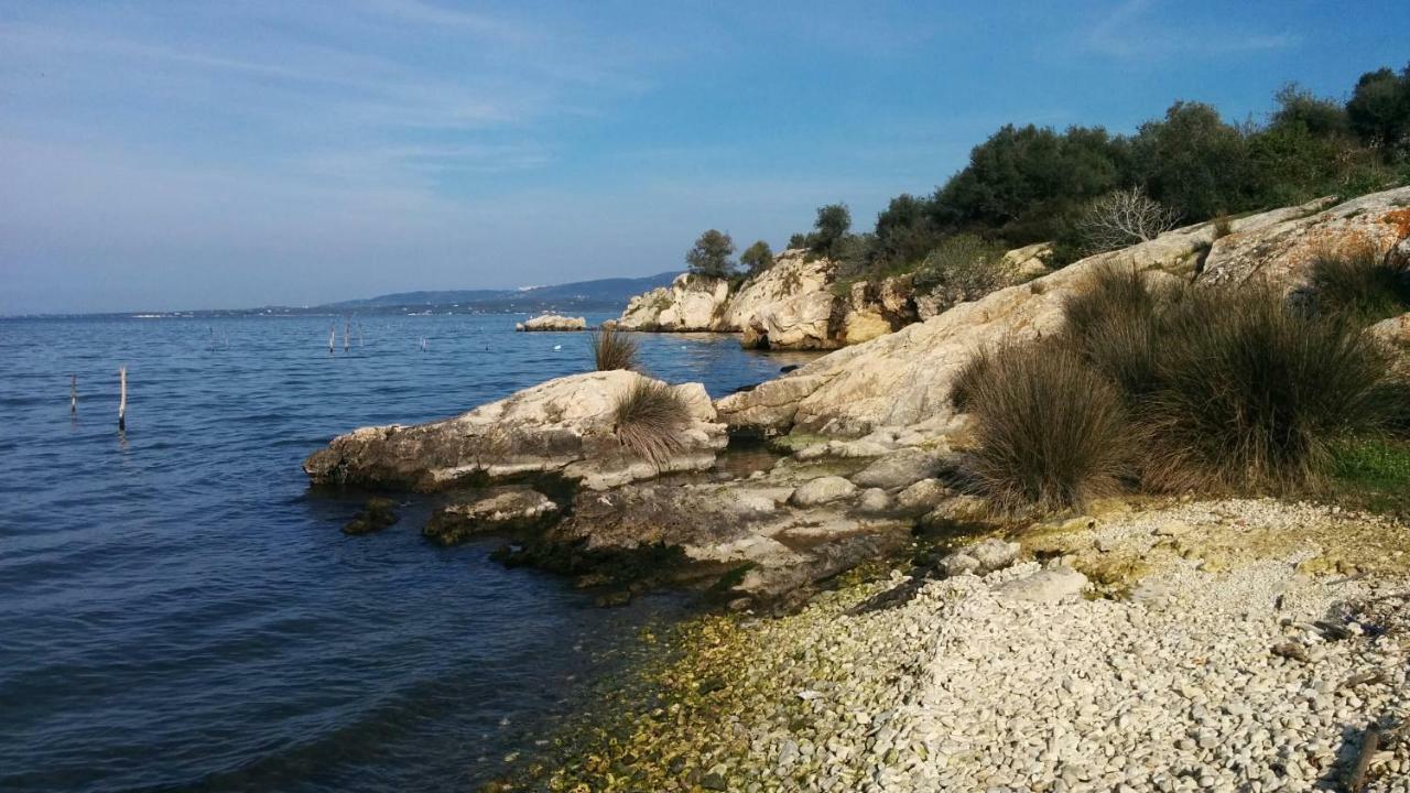 Tancredi *